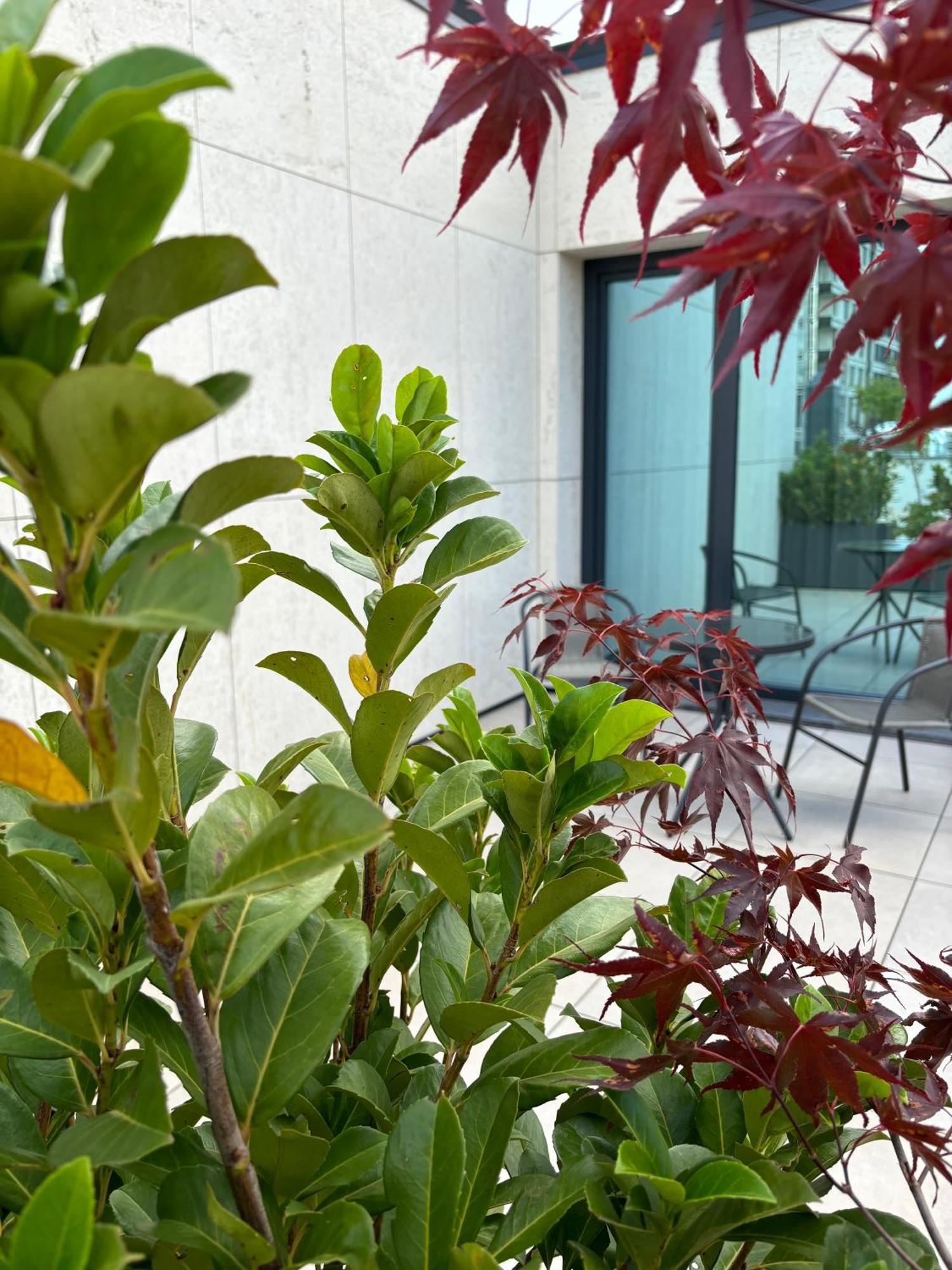 סופיה Blue Star Luxury Hotel מראה חיצוני תמונה